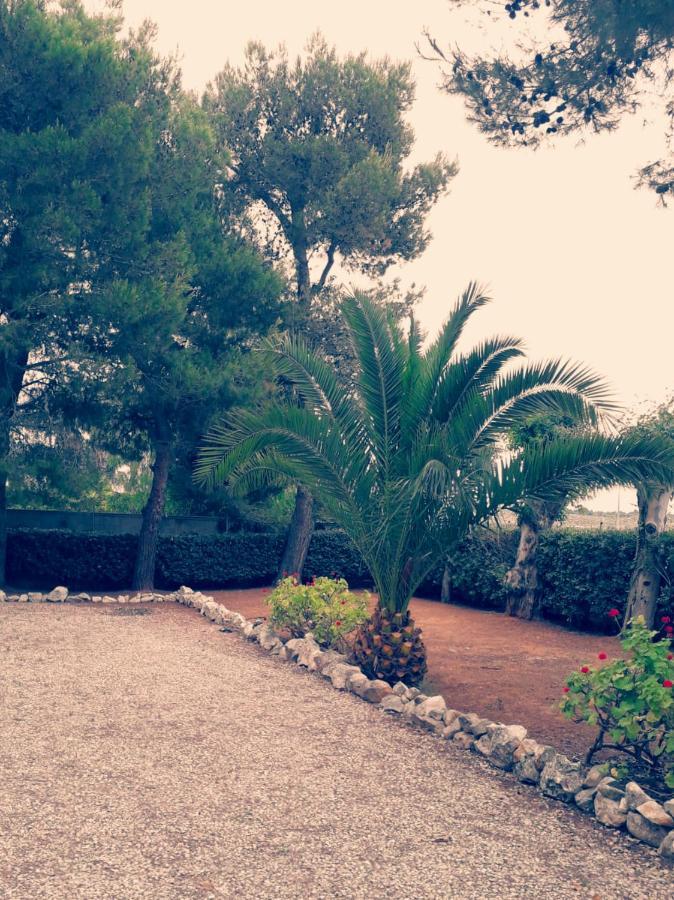 Apartment Casa Andromeda